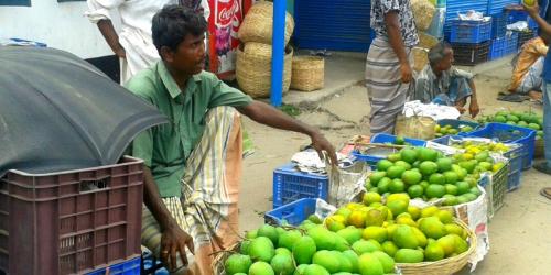 হাঁড়িভাঙা আমের দেশে